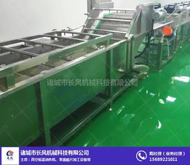 諸城市華都機(jī)械 江西海鮮翻浪清洗設(shè)備